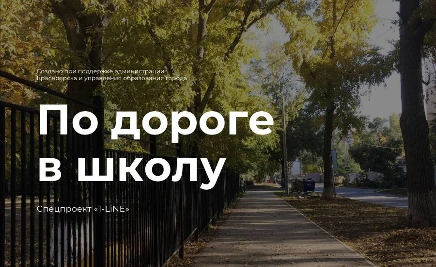 Проект По дороге в школу